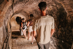 DSC05877-Verbessert-RR