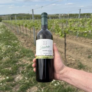 Grüner Veltliner Classic 2025