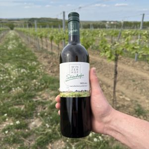 Riesling 2025