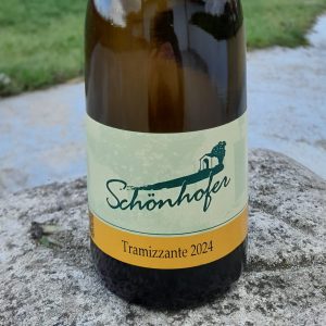 Tramizzante 2024