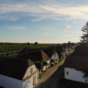 2 Übernachtungen Winzerwohnung