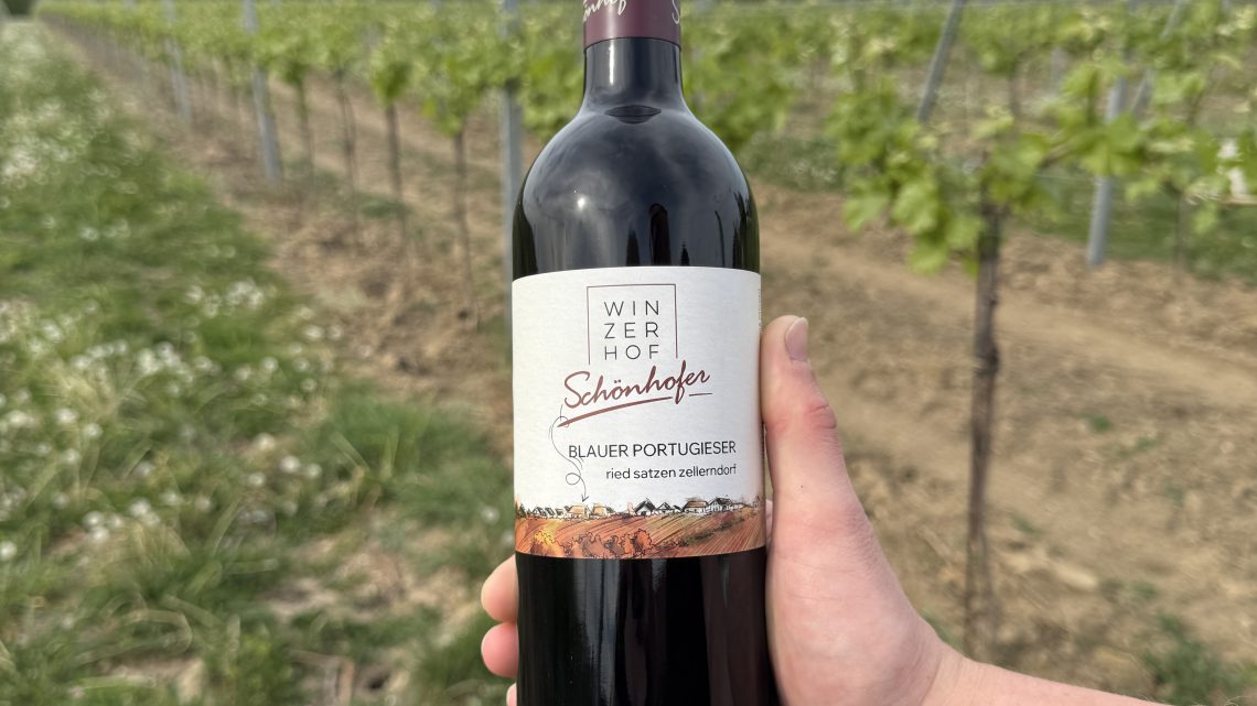 Blauer Portugieser 2024